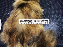-汪小喵宠物·戴维斯乐芳希施宠馨宝皮毛调理洗护店