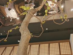 -桂满陇·海市蜃楼·黑金(国金店)