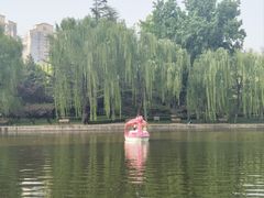 -团结湖公园