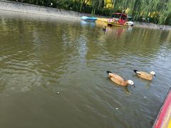 -南翠屏公园