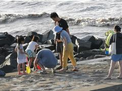 -南汇嘴观海公园