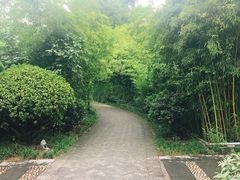 -唐城墙遗址公园