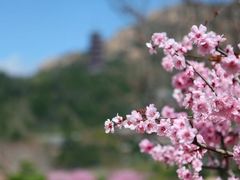 -石岛赤山风景区