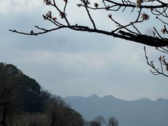 -东钱湖小普陀景区