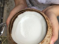 -椰爺爺·椰子冻砵仔糕