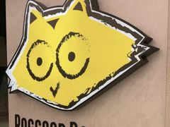 -浣熊唱片店(上海影城店)