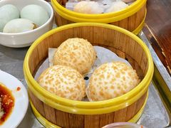 -琼海·狮椰美食楼