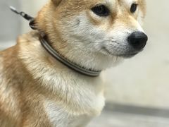 -SPARROW 家雀儿咖啡本店