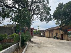 -皇思扬古围村