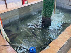 -高家小院铁锅炖大鹅(哈西高铁站店)