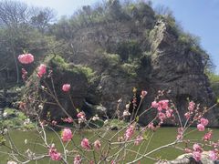 -狼山风景名胜区