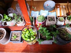 -铃木食堂(帽儿胡同店)