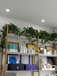 -Dr.Jane皮肤管理中心