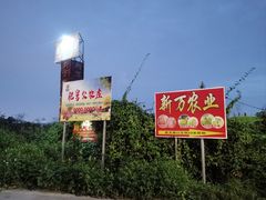 门面-肥舅父農莊