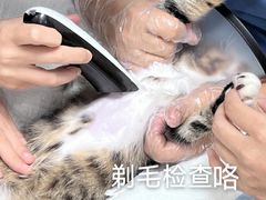 -御宝贝24h宠物医院·转诊中心·CT核磁血透中心(厦门总院)
