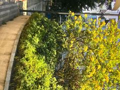 android_upload_pic-杨桃公园