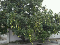 android_upload_pic-广州达镖国际酒店