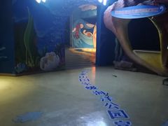 -烟台海昌鲸鲨海洋公园