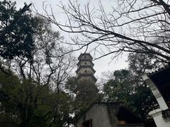 -江心屿景区