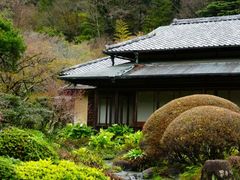 -ステーキハウス吉池