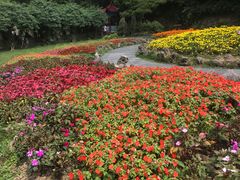 -庐山风景区花径公园
