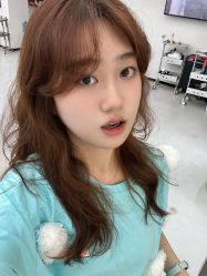 -蚂蚁造型俱乐部