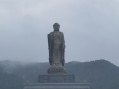 -中原大佛景区