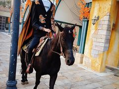 -大连海昌发现王国主题公园