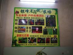 -银峰农庄·特色烧鸡·鲜无花果浸鸡