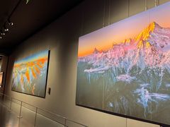 -罗红摄影艺术馆