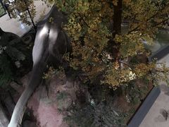 -湖南省地质博物馆