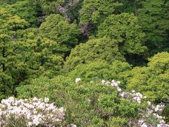 -梧桐山风景名胜区