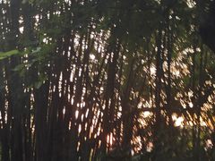 -桃花涧