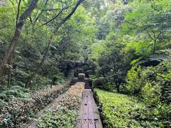 -杭州半山国家森林公园