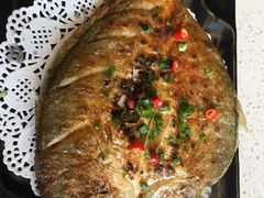 -九府羊·鲜羊火锅·烤串(新华路店)