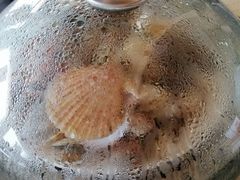 -港畔赶海蒸汽海鲜烧烤自助(仙螺岛店)