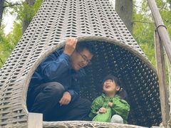 -黄海国家森林公园