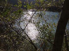 -龙坞茶村
