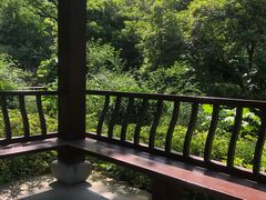 -杭州花家山庄