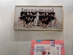 点击看大图 -WENDY·温迪皮肤管理