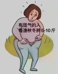 -香薇妮丝女子减肥院
