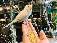 -上海大自然野生昆虫馆(东方明珠·爬宠昆虫探索中心)