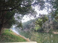 -昆山城市生态森林公园