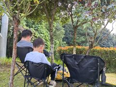 -铁山坪森林公园