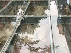 -北京路步行街-千年古道遗址