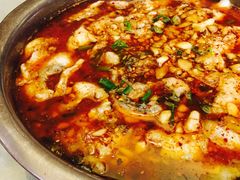 酸菜鱼-金良酸菜鱼(宁海路总店)