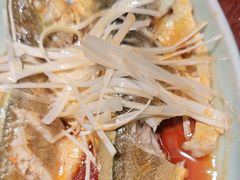 油泼深海黄花鱼-前海沿·青岛菜(五四广场永旺店)