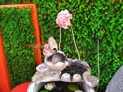 -惠粤轩茶餐厅(中山北路店)