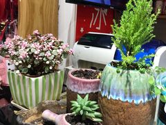 -熊猫屋(宽窄巷子景区店)