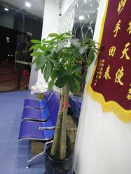 -蕾特恩专业祛痘国际连锁